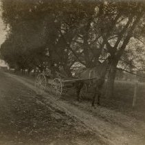 Omc1985.008.039 Image 600dpi